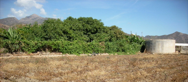 View of Finca Leukeña from the outside. A conventional field in front.